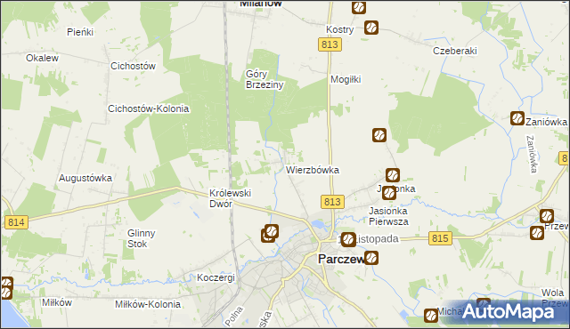 mapa Wierzbówka gmina Parczew, Wierzbówka gmina Parczew na mapie Targeo