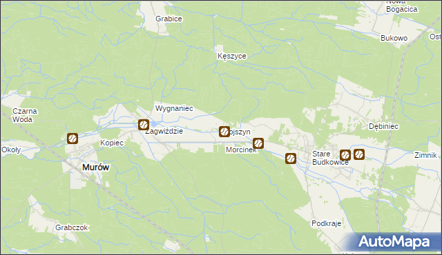 mapa Wojszyn gmina Murów, Wojszyn gmina Murów na mapie Targeo