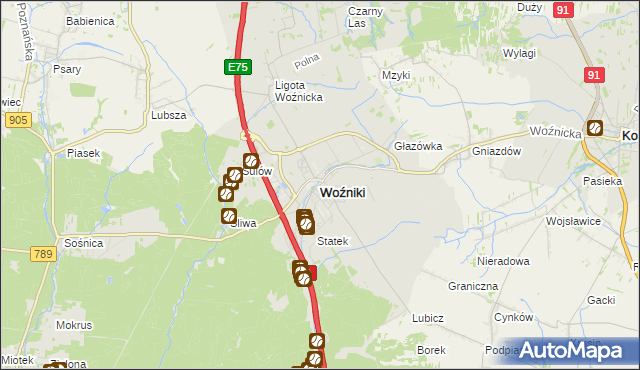 mapa Woźniki powiat lubliniecki, Woźniki powiat lubliniecki na mapie Targeo