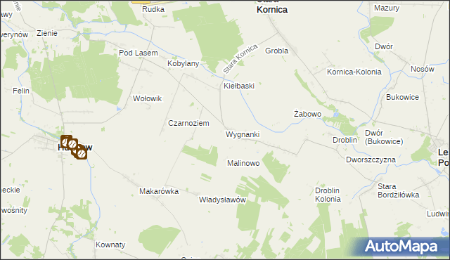 mapa Wygnanki, Wygnanki na mapie Targeo