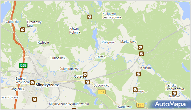 mapa Żółwin gmina Międzyrzecz, Żółwin gmina Międzyrzecz na mapie Targeo