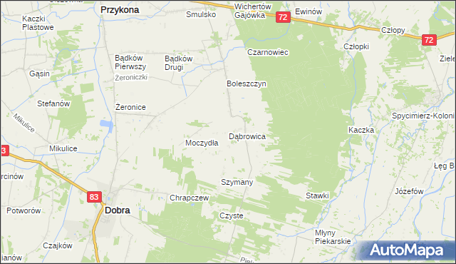 mapa Dąbrowica gmina Dobra, Dąbrowica gmina Dobra na mapie Targeo