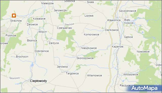 mapa Nieszkowice gmina Strzelin, Nieszkowice gmina Strzelin na mapie Targeo
