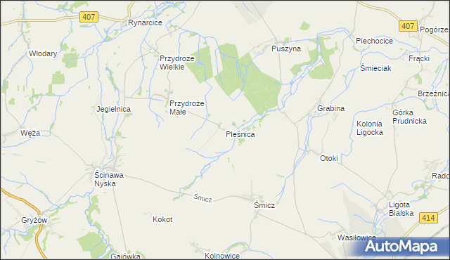 mapa Pleśnica, Pleśnica na mapie Targeo