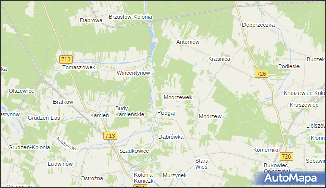 mapa Modrzewek gmina Opoczno, Modrzewek gmina Opoczno na mapie Targeo