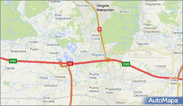 mapa Rogoźnica gmina Głogów Małopolski, Rogoźnica gmina Głogów Małopolski na mapie Targeo