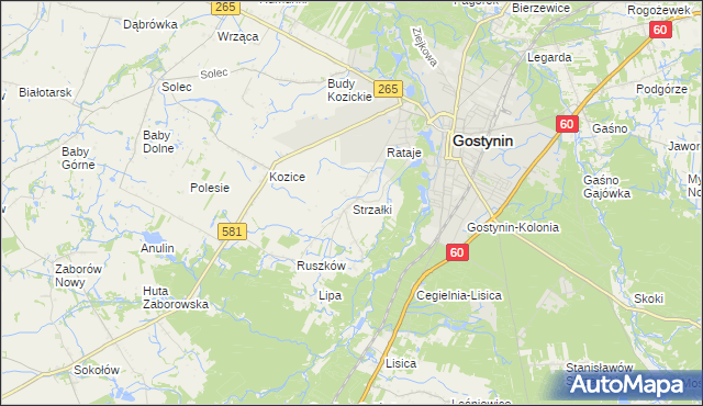 mapa Strzałki gmina Gostynin, Strzałki gmina Gostynin na mapie Targeo