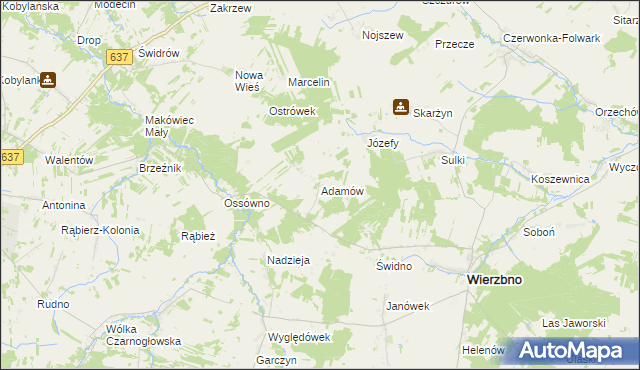 mapa Adamów gmina Wierzbno, Adamów gmina Wierzbno na mapie Targeo