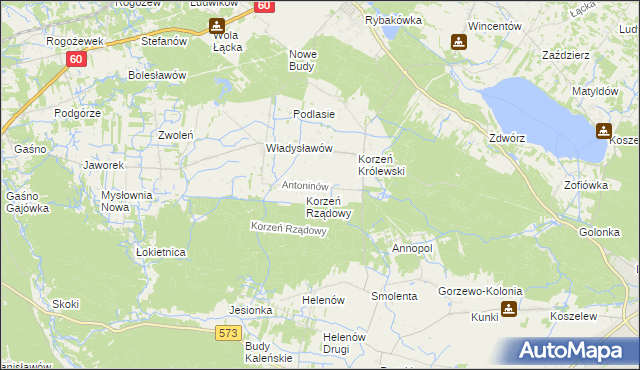 mapa Antoninów gmina Łąck, Antoninów gmina Łąck na mapie Targeo