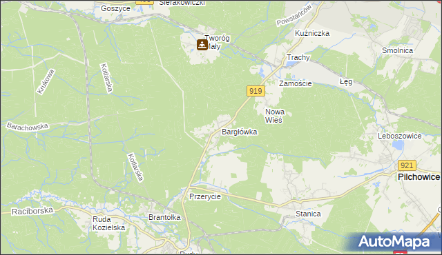 mapa Bargłówka gmina Sośnicowice, Bargłówka gmina Sośnicowice na mapie Targeo