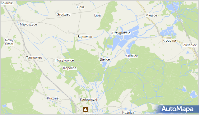 mapa Bielice gmina Świerczów, Bielice gmina Świerczów na mapie Targeo