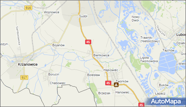 mapa Bieńkowice gmina Krzyżanowice, Bieńkowice gmina Krzyżanowice na mapie Targeo