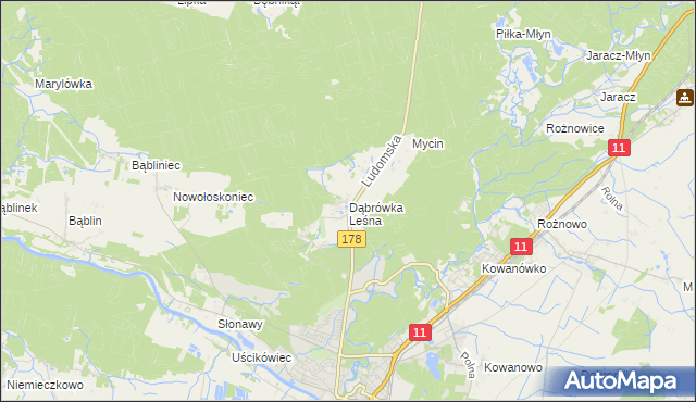 mapa Dąbrówka Leśna, Dąbrówka Leśna na mapie Targeo