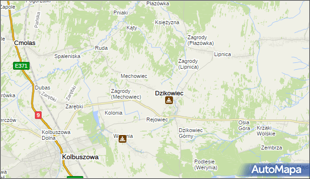 mapa Dzikowiec powiat kolbuszowski, Dzikowiec powiat kolbuszowski na mapie Targeo
