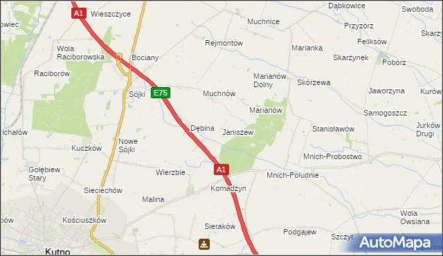 mapa Janiszew gmina Strzelce, Janiszew gmina Strzelce na mapie Targeo