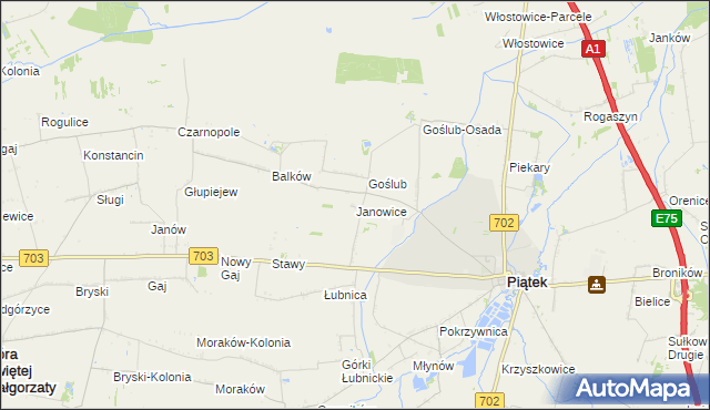 mapa Janowice gmina Piątek, Janowice gmina Piątek na mapie Targeo