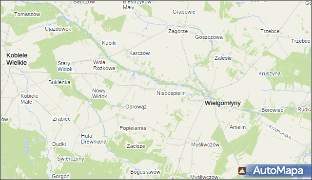 mapa Niedośpielin, Niedośpielin na mapie Targeo