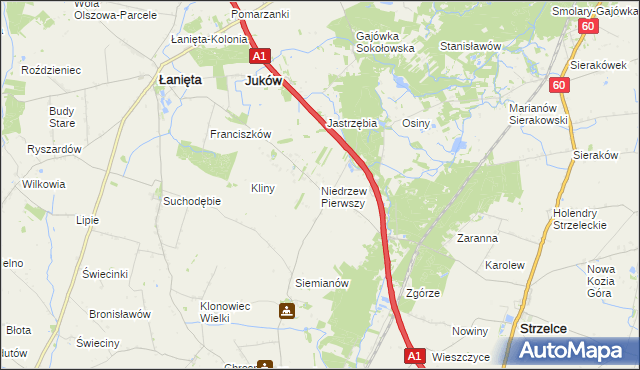 mapa Niedrzew Pierwszy, Niedrzew Pierwszy na mapie Targeo