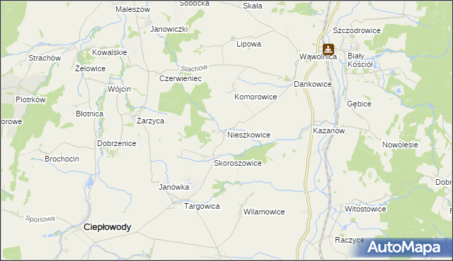 mapa Nieszkowice gmina Strzelin, Nieszkowice gmina Strzelin na mapie Targeo