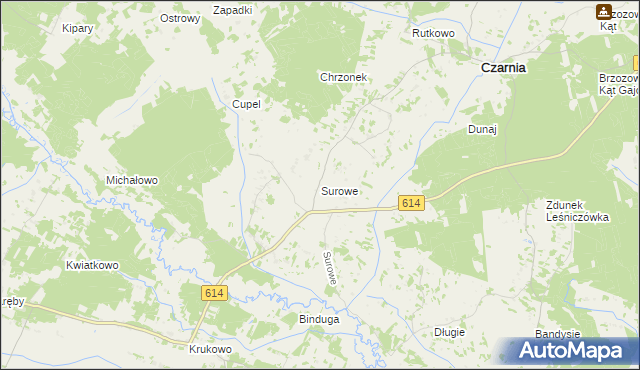 mapa Surowe gmina Czarnia, Surowe gmina Czarnia na mapie Targeo