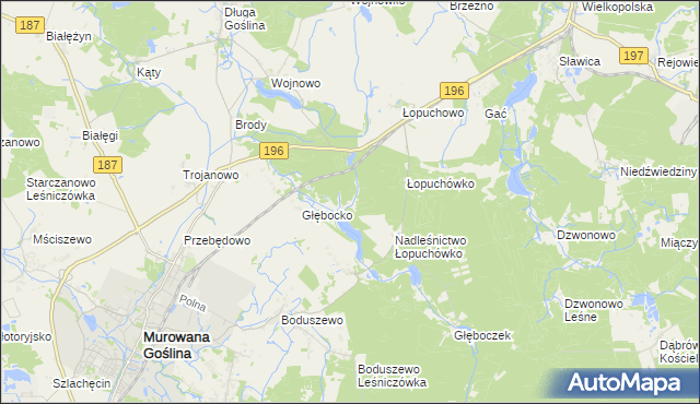 mapa Worowo gmina Murowana Goślina, Worowo gmina Murowana Goślina na mapie Targeo