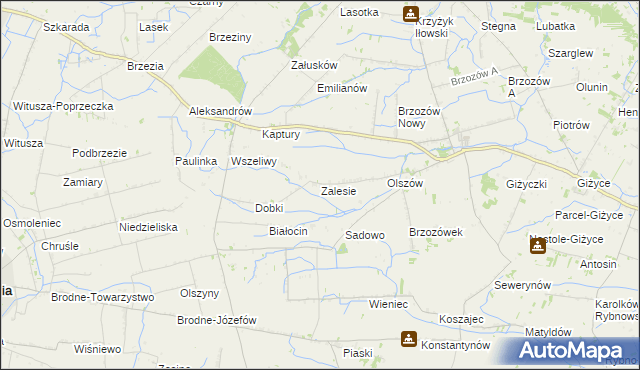 mapa Zalesie gmina Iłów, Zalesie gmina Iłów na mapie Targeo
