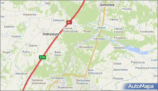 mapa Borowiecko, Borowiecko na mapie Targeo