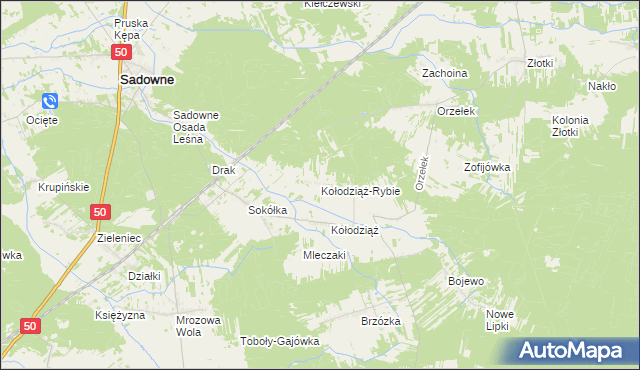 mapa Kołodziąż-Rybie, Kołodziąż-Rybie na mapie Targeo