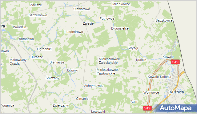 mapa Mieleszkowce Zalesiańskie, Mieleszkowce Zalesiańskie na mapie Targeo