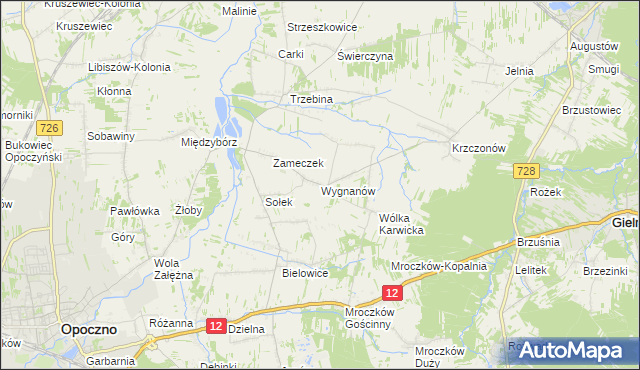 mapa Wygnanów gmina Opoczno, Wygnanów gmina Opoczno na mapie Targeo