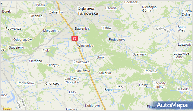 mapa Brnik, Brnik na mapie Targeo