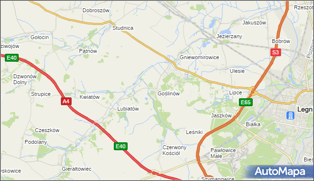 mapa Goślinów, Goślinów na mapie Targeo
