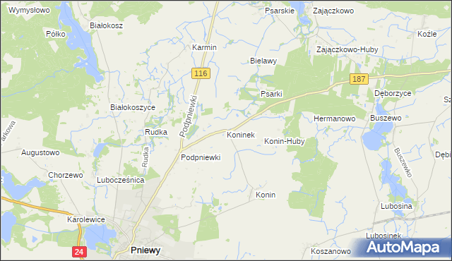 mapa Koninek gmina Pniewy, Koninek gmina Pniewy na mapie Targeo