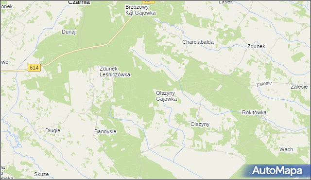 mapa Olszyny Gajówka, Olszyny Gajówka na mapie Targeo
