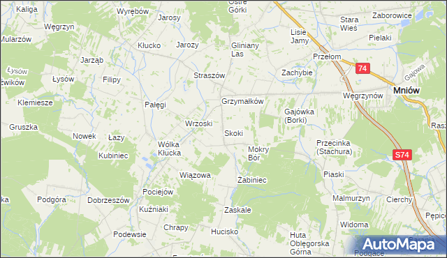 mapa Skoki gmina Mniów, Skoki gmina Mniów na mapie Targeo