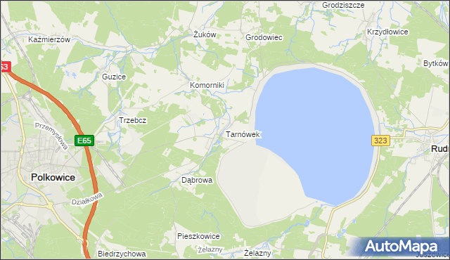 mapa Tarnówek gmina Polkowice, Tarnówek gmina Polkowice na mapie Targeo