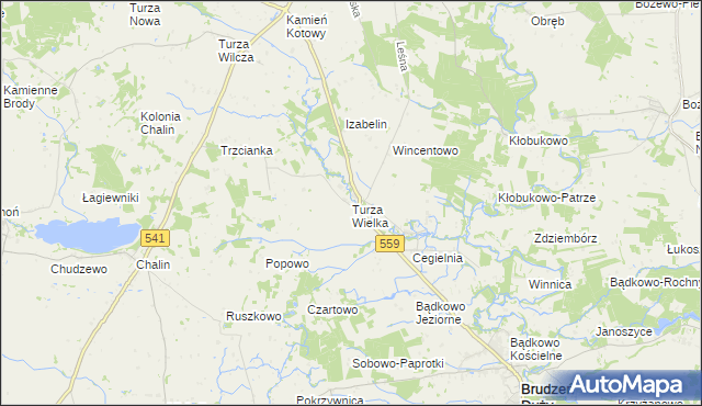 mapa Turza Wielka gmina Brudzeń Duży, Turza Wielka gmina Brudzeń Duży na mapie Targeo