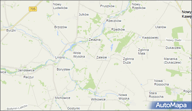 mapa Zalesie gmina Skierniewice, Zalesie gmina Skierniewice na mapie Targeo