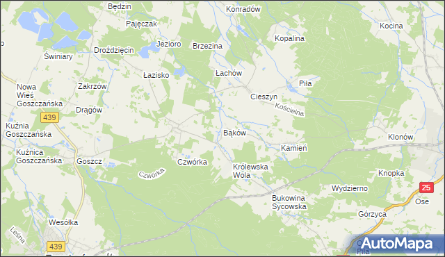 mapa Bąków gmina Międzybórz, Bąków gmina Międzybórz na mapie Targeo