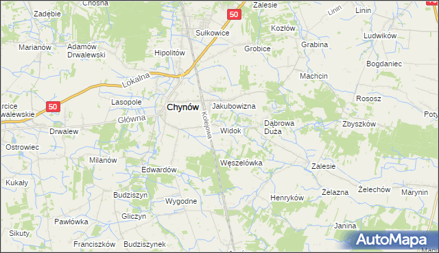 mapa Widok gmina Chynów, Widok gmina Chynów na mapie Targeo