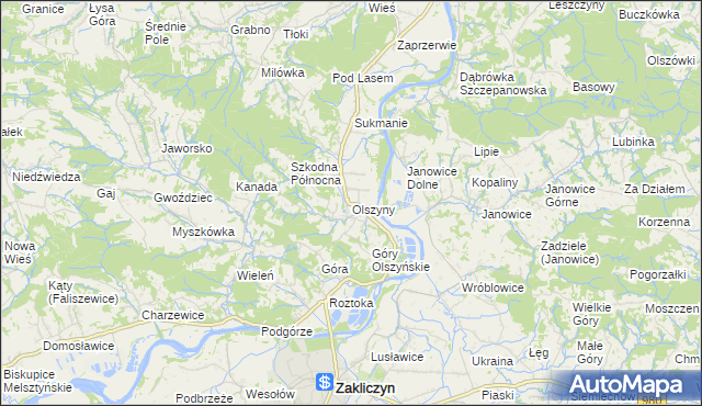 mapa Olszyny gmina Wojnicz, Olszyny gmina Wojnicz na mapie Targeo