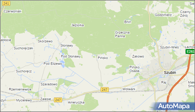 mapa Pińsko, Pińsko na mapie Targeo