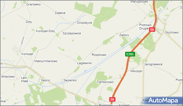 mapa Roszkowo gmina Czempiń, Roszkowo gmina Czempiń na mapie Targeo