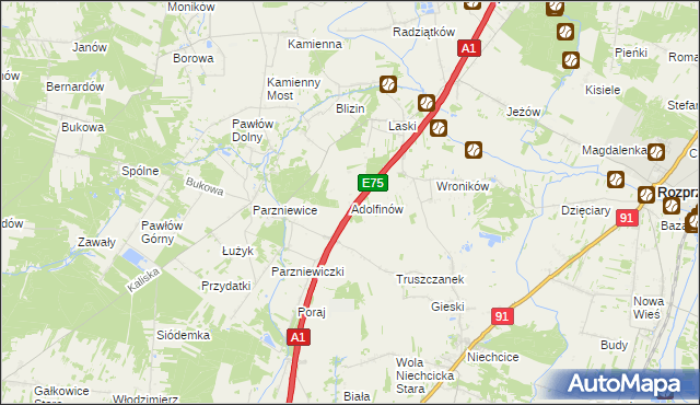 mapa Adolfinów, Adolfinów na mapie Targeo