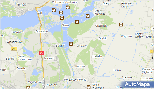 mapa Anielew gmina Kramsk, Anielew gmina Kramsk na mapie Targeo