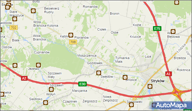 mapa Anielin Swędowski, Anielin Swędowski na mapie Targeo