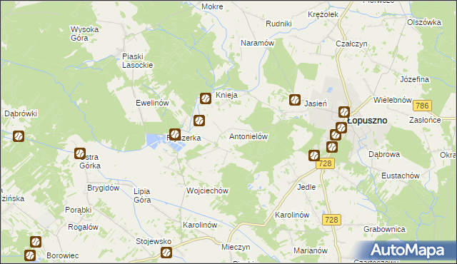 mapa Antonielów gmina Łopuszno, Antonielów gmina Łopuszno na mapie Targeo