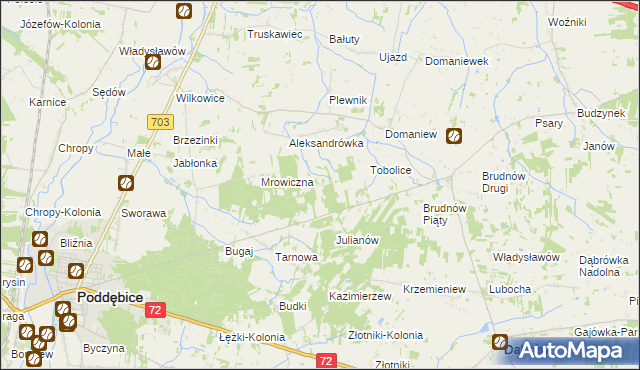 mapa Antoniew gmina Dalików, Antoniew gmina Dalików na mapie Targeo