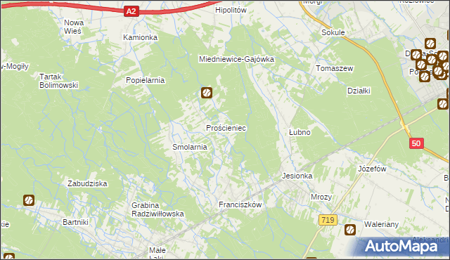 mapa Antoniew gmina Wiskitki, Antoniew gmina Wiskitki na mapie Targeo