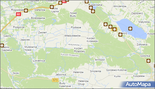 mapa Antoninów gmina Łąck, Antoninów gmina Łąck na mapie Targeo